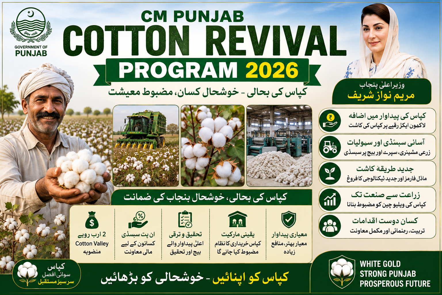 CM Punjab Cotton Revival Program 2026