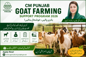 CM Punjab Goat Farming Support Program 2026