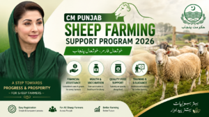 CM Punjab Sheep Farming Support Program 2026